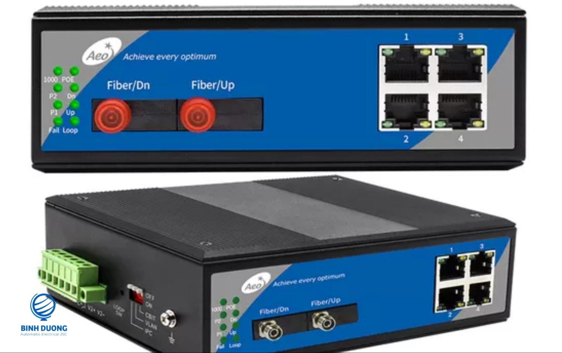 Cổng Fiber Optic