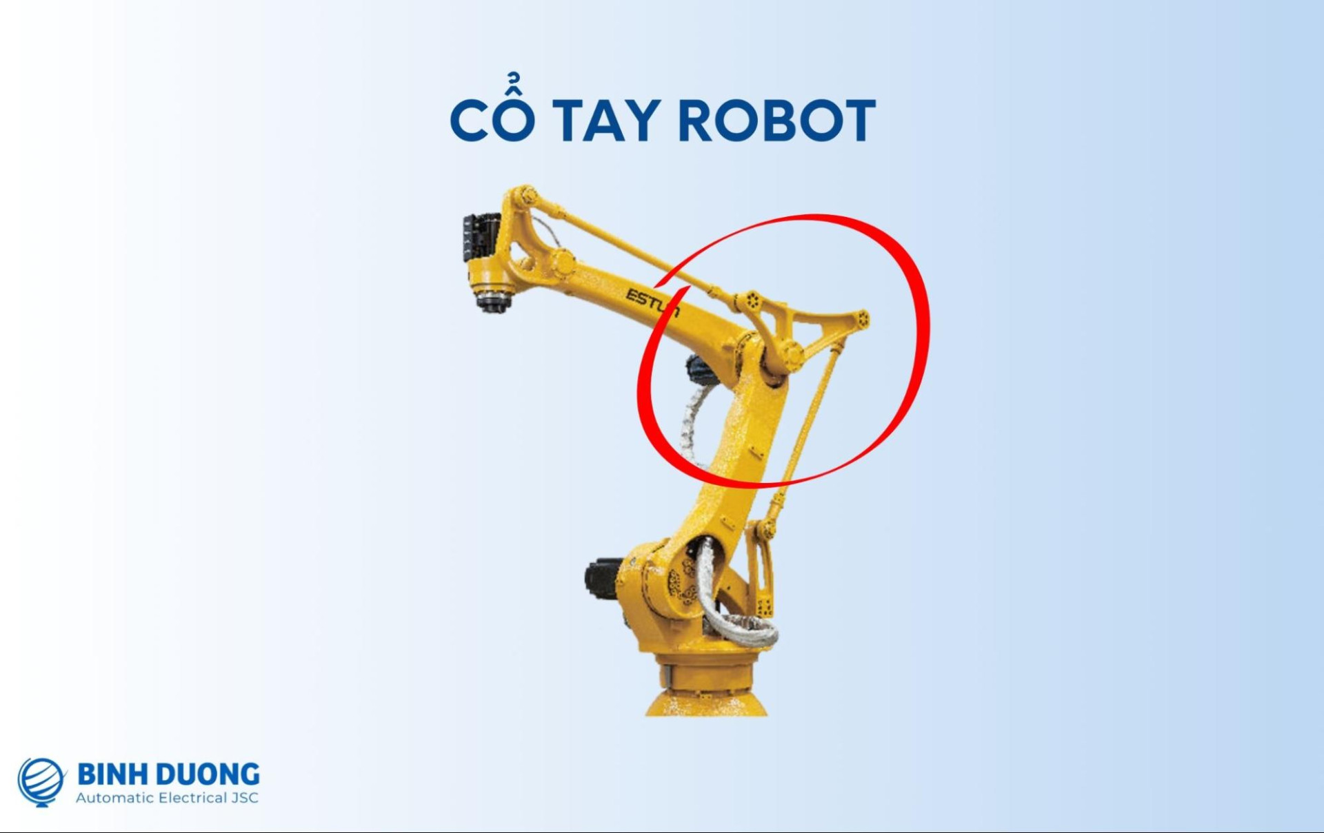 Cổ tay robot